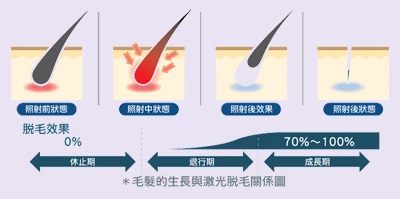 脱毛&治疗毛周损害及临床解决方案